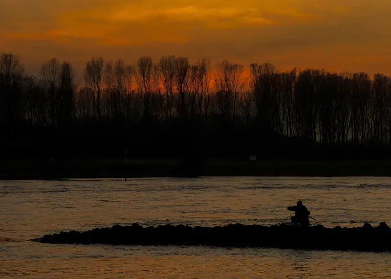 Angler als Silhouette auf einer Buhne am Rhein bei Monheim im Abendrot